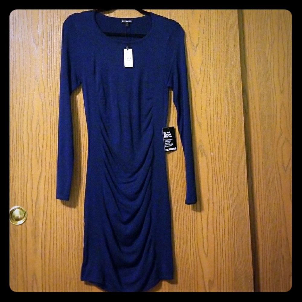 Express long sleeve dress